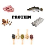 protein