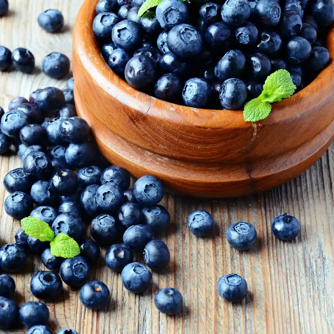 How Many Grams of Protein In Blueberries